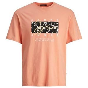 JACK&JONES JUNIOR JORARUBA AOP Branding Tee SS Crew JNR, canyon sunset, 128 cm