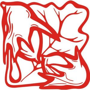 INDIGOS/Muursticker-e60 mooi bladerwerk blad bloemen planten rankjes 80x80 cm - rood, vinyl, 80 x 80 x 1 cm