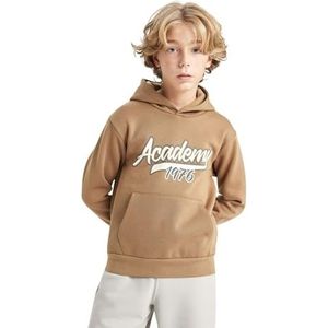 DeFacto Hoodie jongens - jongens hoodie (bruin, 11/12 Y), bruin, 11-12 Jaar