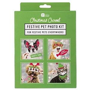 Talking Tables ENT-PET-ELFIEV2 Party Dress Up | Fotobox rekwisieten voor huisdieren | Kerstmis kostuum voor honden en katten | 20 stuks en sneeuwscène, multicolor