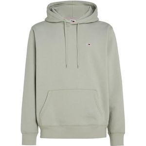 Tommy Jeans Tjm Regular Fleece Hoodie Skateboard-hoodie heren, Vervaagde Wilg, XS