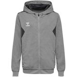 Hummel - hmlAUTHENTIC PL ZIP HOODIE KIDS - Hoodie - Zwart