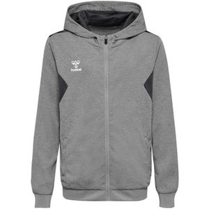 Hummel - hmlAUTHENTIC PL ZIP HOODIE KIDS - Hoodie - Zwart