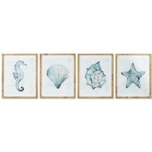Home ESPRIT Mediterrane afbeelding schelp 55 x 2,5 x 70 cm (4 stuks)