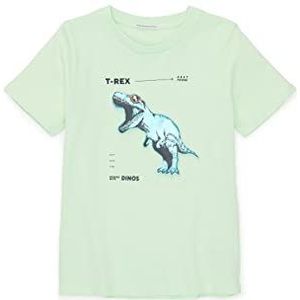 TOM TAILOR Jongens T-shirt 1035682, 31093 - Fresh Apple Lime Green, 92-98
