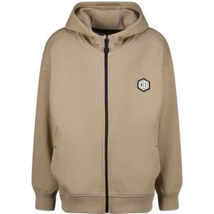 Vingino Otam Sweatshirt met capuchon voor jongens, Fear Sand, 14 Jaren