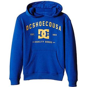 DC Shoes Jongens Screen Fleece Basement PH BY B OTLR