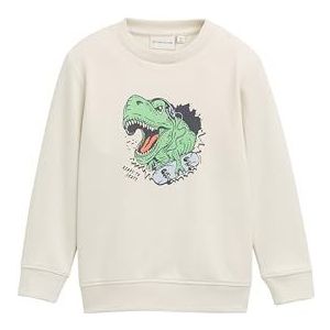 Sweater - Ronde Hals - Sweatstof - Geribbelde Kraag - Motiefprint