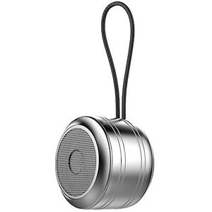 Rawrr Bluetooth-luidspreker, draagbare outdoor mini bluetooth-box, handsfree-functie voor telefoon, enormer met basdrivers, luidspreker voor thuis, buiten, tuin, zilver