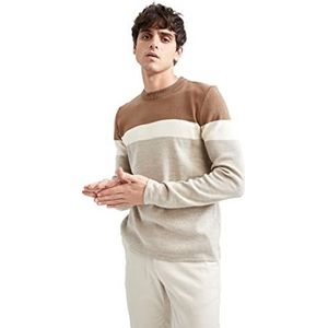 DeFacto Heren gebreide trui met lange mouwen ronde hals sweater - slim fit trui voor heren tops (camel, L), camel, L