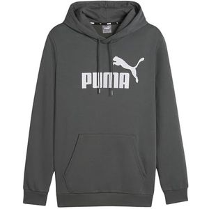 Puma Hoodie Grijs