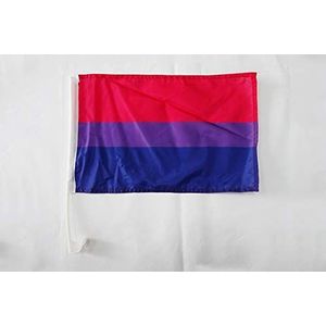 Autobeleggingsvlag biseksueel 45x30cm - Autobeleggingsvlag biseksueel - Regenboog 30 x 45 cm - AZ VLAG