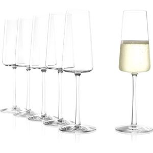 Stolzle Champagneflûte Power 24 cl 6 stuks