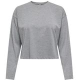 Onlmelle L/S Glitter Top JRS, zilver, M