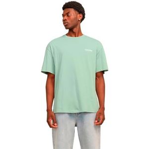 Jack & Jones JJEBRADLEY Graphic Tee SS O-Neck NOOS, Iceberg Green., XXL