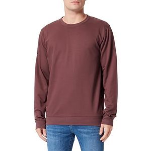 TRIGEMA Heren sweatshirt van puur biologisch katoen (KBA) in biologische sweatkwaliteit - 679501, bruin (kastanje), 3XL