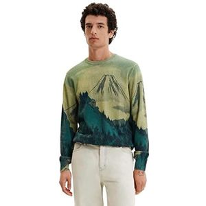 Desigual Men's Man Template 3 Colors N 6124 Natural Pullover Sweater, Brown, S, bruin, S