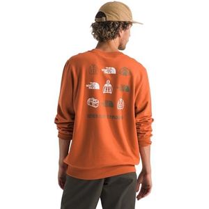 The North Face Outdoor Graphic Crew Sweater voor heren Iron Bronze XL