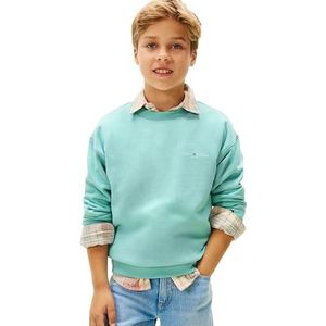 TOMMY HILFIGER Sweatshirt  aqua / offwhite