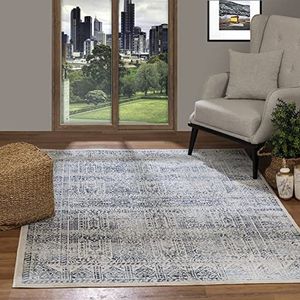 Surya Evora Vintage tapijt - vloerkleden voor woonkamer, hal, slaapkamer, chique, neutraal Scandi tapijt, traditionele boho-tapijtstijl, natuurlijke onderhoudsvriendelijke pool - groot tapijt, 160 x