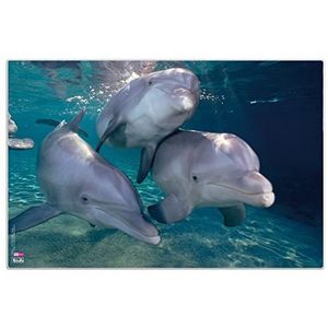 VELOFLEX 4651100 - Bureauonderlegger dolfijnen, 40 x 60 cm, antislip, afveegbaar, met transparante antireflecterende beschermfolie, bureauonderlegger, schildersmat, knutselmat