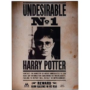 SD Toys Ongewenste 1 poster van Harry Potter, meerkleurig, 41 x 31 x 3 cm