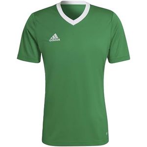 adidas Heren Jersey (korte mouw) ent22 JSY, Team Green/White, HI2123, LT3