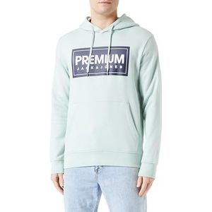 JACK & JONES Capuchontrui voor heren, Silt Green., S