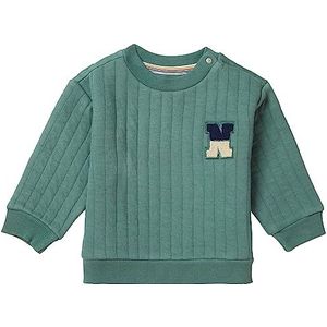 Noppies Teaticket sweater voor jongens met lange mouwen, Dark Forest, 62 cm