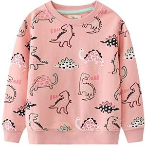 Little Hand Sweatshirt voor meisjes, lange mouwen, dinosaurusprint, leeftijd 1-2 jaar, Dinosaurus 3, 12-24 Maanden