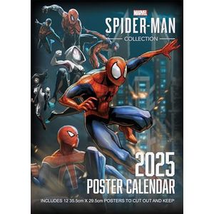 Spider-Man 2025 Wandkalender 30 x 42 cm