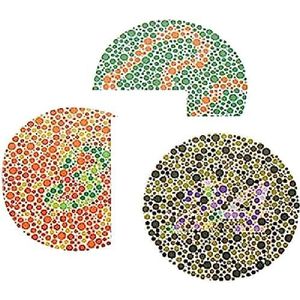 GIMA Volwassenen kleurtest - 15 platen