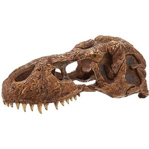 Exo Terra T-Rex-schedel, veilige verstopplaats voor reptielen en amfibieën, groot, 1 stuk (1 stuk)