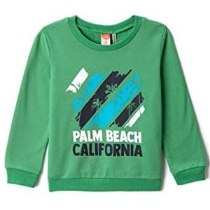 Koton Baby-jongens bedrukt sweatshirt met lange mouwen en ronde hals, Pistache (157), 9-12 Maanden