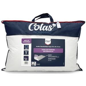 COLAS NORMAND - Ergonomisch Golfkussen - Traagschuim - 50x30x10 cm - Viscoelastisch Polyurethaanschuim - 100% Polyester Stretch Gebreid met Ritssluiting