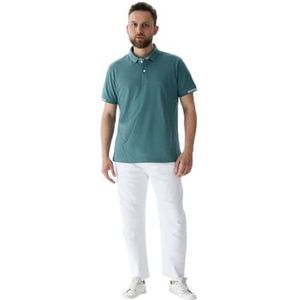 LTB Jeans Bemaka Polo voor heren, Silver Pine 14041, M