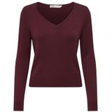 ONLY - ONLVENICE - Trui - Braam - V-hals - Lange Mouw
