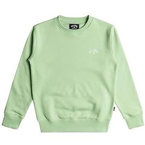 BILLABONG Arch jongens sweatshirt 8-16 groen S/10