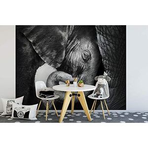 awallo A.S. Création fotobehang dieren zwart olifantenbaby | Design Print 3,36 m x 2,60 m grijs wit 403708