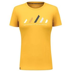 Salewa Dames Pure Stripes Dry T-shirt, goud, 44, geel