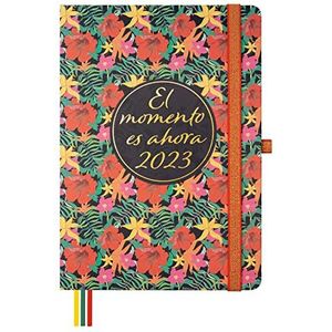 Finocam - Kalender 2023 Minimal Design 1 dag pagina januari 2023 - december 2023 (12 maanden) Moment Spaans