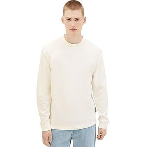 TOM TAILOR Denim T-shirt met lange mouwen voor heren, 12906 - Wool White, S
