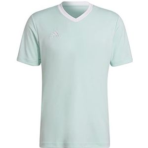 adidas, Entrada22, Voetbal T-shirt, Clear Mint, L, Man