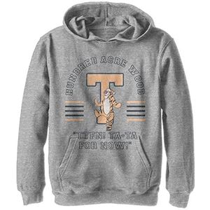Disney Winnie The Pooh Tigger Collegiate Boy's Hooded Pullover Fleece, Athletic Heather, Small, Athletic Heather, S