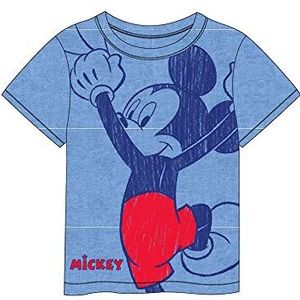 Cerdá Kort T-shirt Single Jersey Mickey korte mouwen kinderen T-shirt