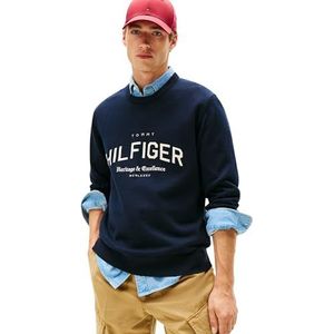 Tommy Hilfiger Heren Brand Identity Crew Neck MW0MW40851 Trui Trui, Blauw, L, Blauw (Woestijnhemel), L