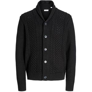 JACK & JONES Gebreid vest 'PAUL'  zwart