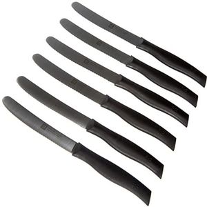 Zwilling 6-delige messenset, ontbijtmes, lemmetlengte: 12 cm, speciaal handvat van roestvrij staal/kunststof, dubbele handgreep