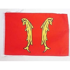 Frans Vorstendom Montbéliard Vlag 45x30 cm snoeren - Provincie Montbéliard - Frankrijk KLEINE vlaggen 30 x 45 cm - Banier 18x12 in Hoge kwaliteit - AZ FLAG