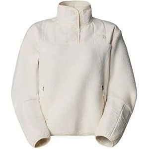 The North Face - Cragmont 1/4 Neck - Fleece